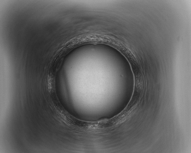 X0000116111490200911231135
