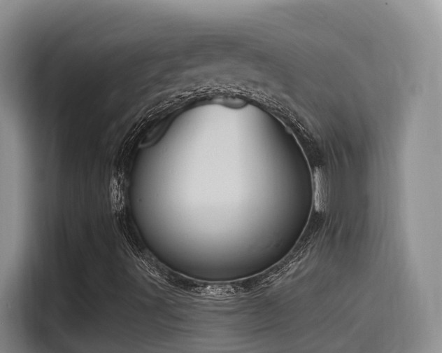 X0000116111491200911231135