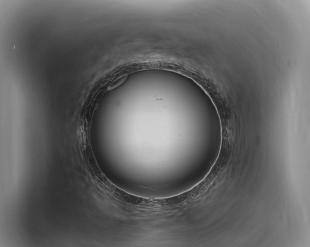 X0000116111493200911231135