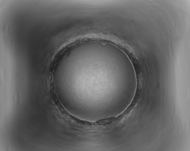 X0000116111494200911231135