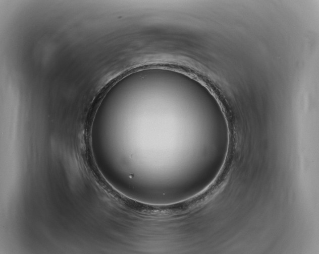 X0000116111497200911231135