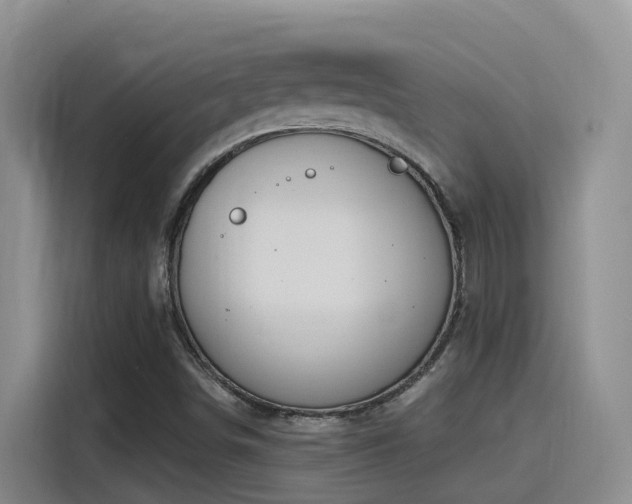 X0000116111498200911231135