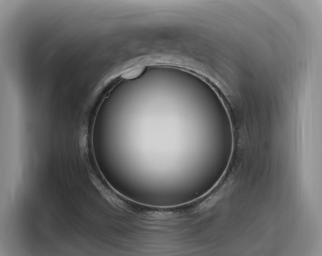 X0000116111499200911231135