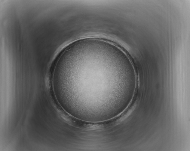 X0000116111501200911231135