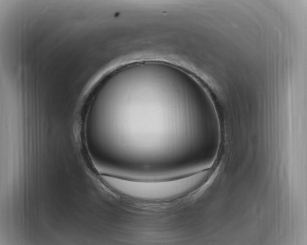 X0000116111502200911231135