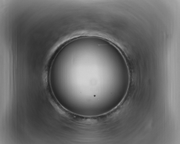 X0000116111503200911231135