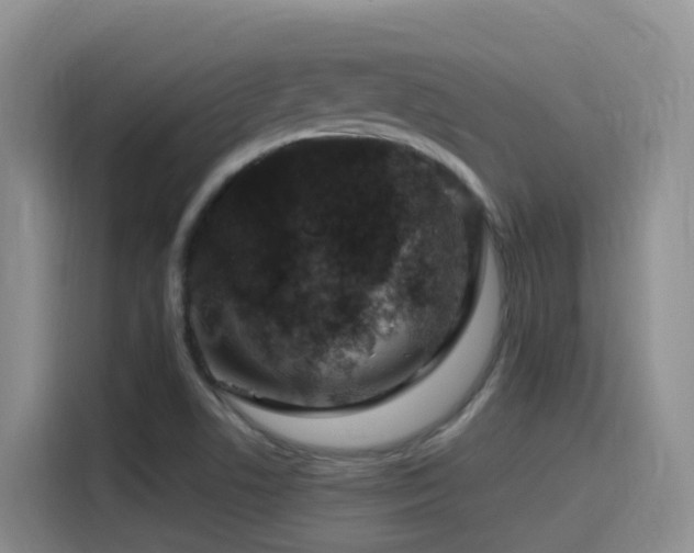 X0000116111506200911231135