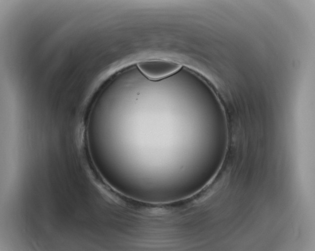 X0000116111507200911231135
