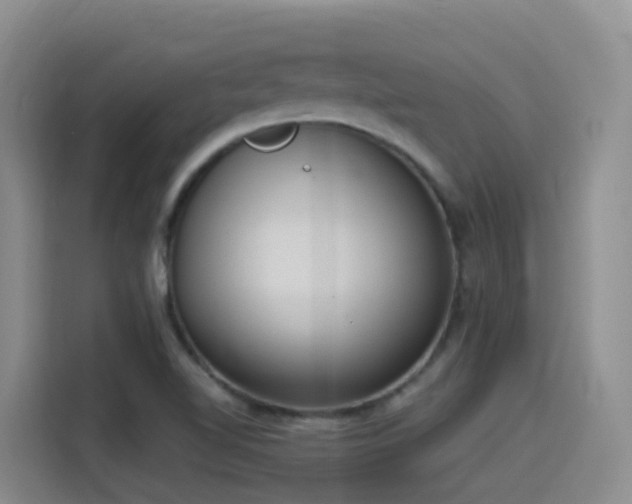 X0000116111510200911231135