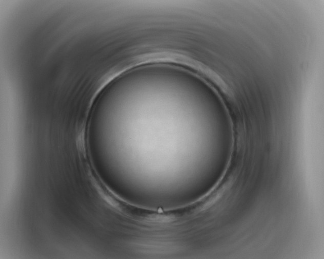 X0000116111513200911231135