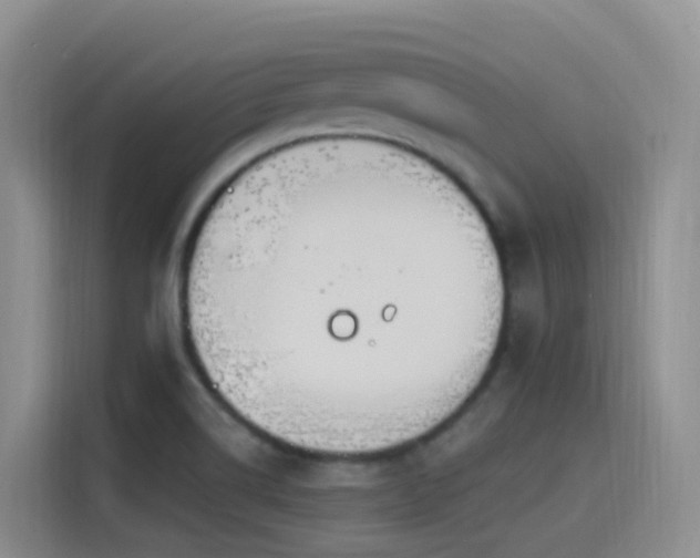 X0000116111514200911231135