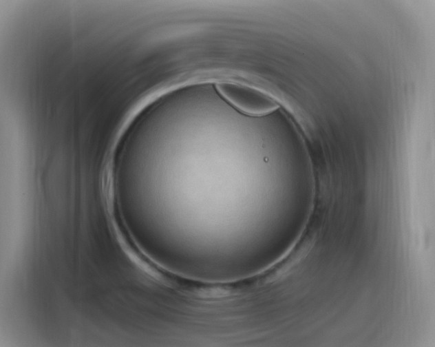 X0000116111515200911231135