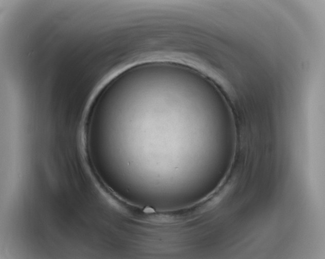 X0000116111517200911231135