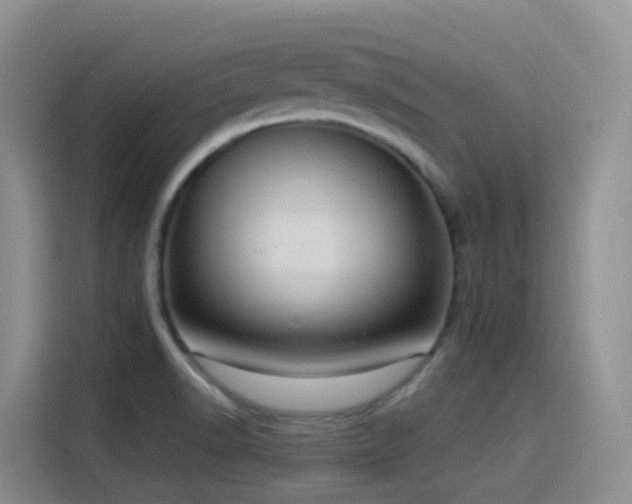 X0000116111518200911231135