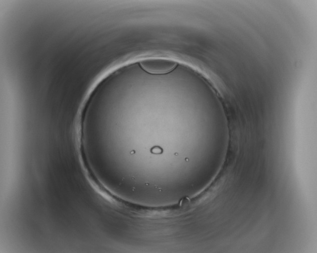 X0000116111519200911231135