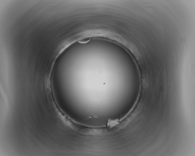 X0000116111521200911231135