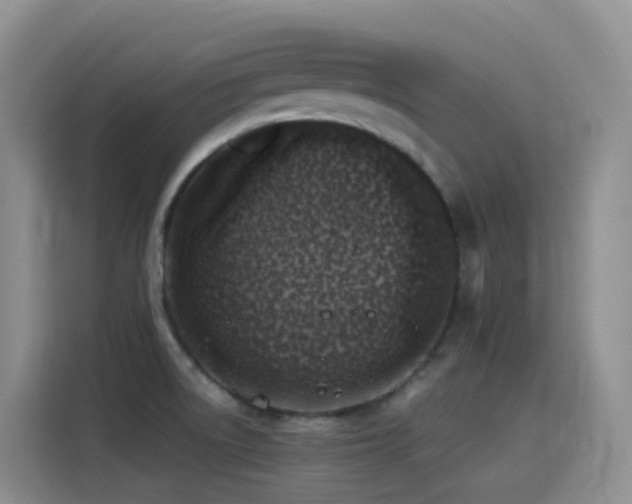 X0000116111522200911231135