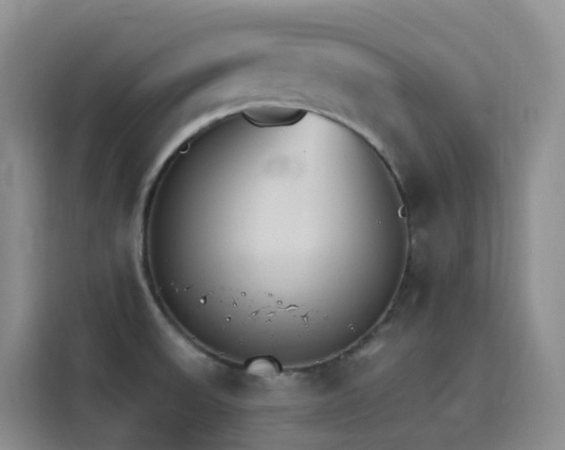 X0000116111523200911231135
