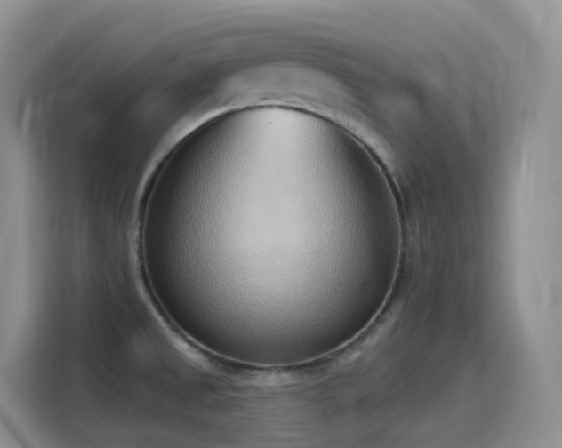 X0000116111525200911231135