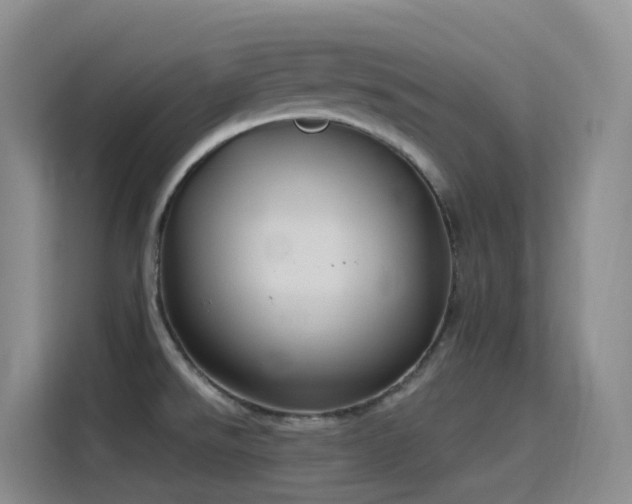 X0000116111526200911231135