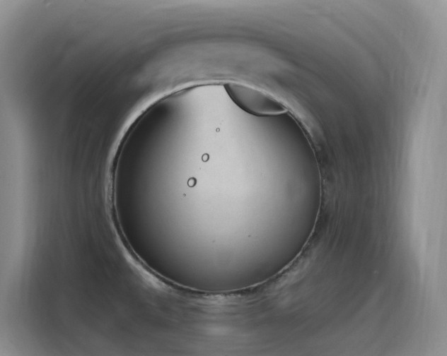X0000116111527200911231135