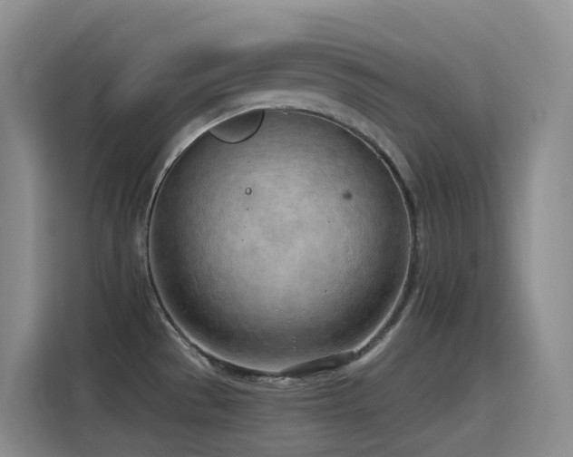 X0000116111529200911231135