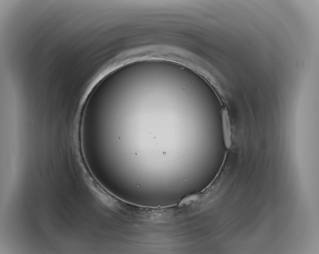 X0000116111530200911231135