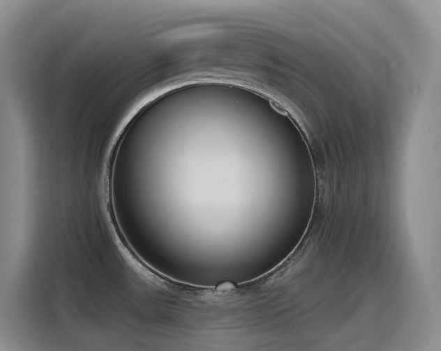 X0000116111531200911231135