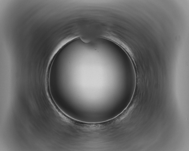 X0000116111533200911231135