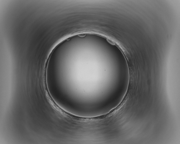 X0000116111534200911231135