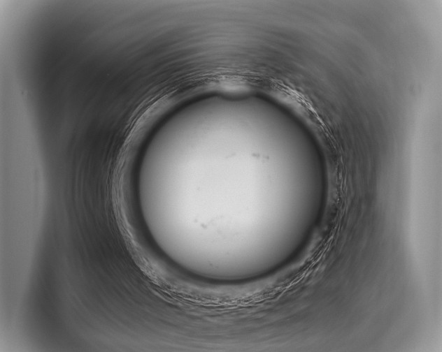 X0000116110001200911301132