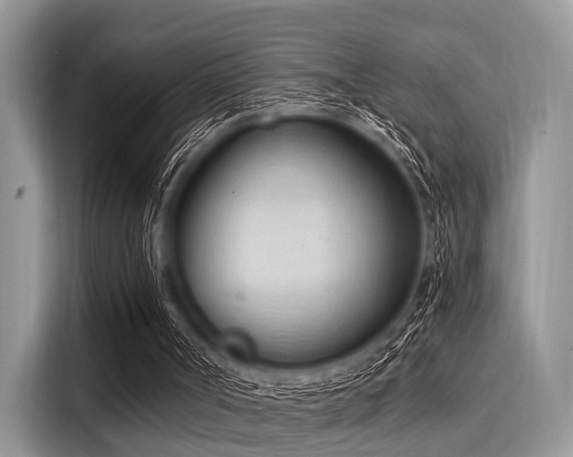 X0000116110002200911301132