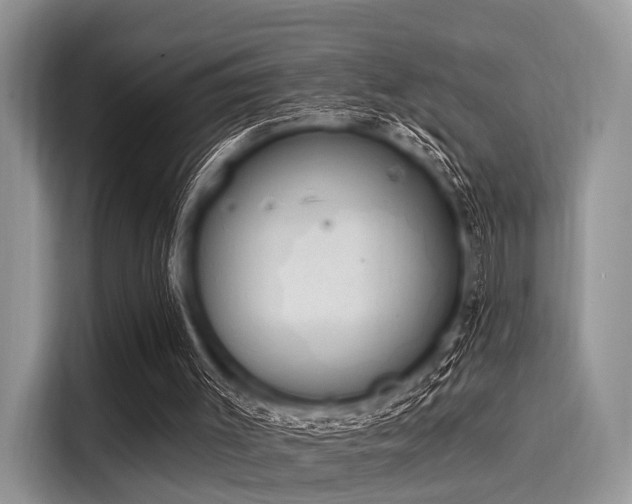 X0000116110003200911301132