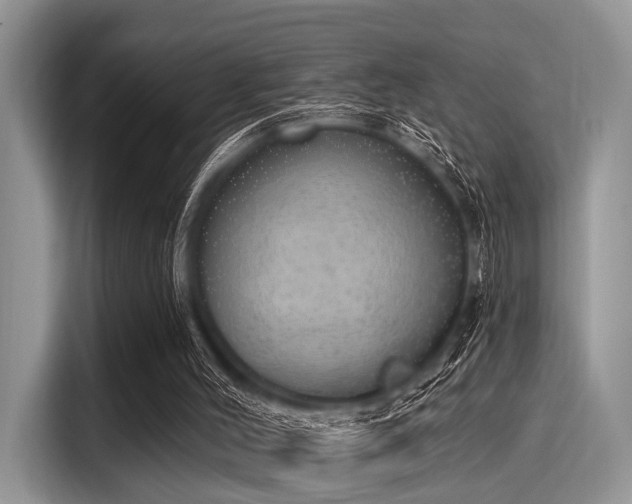 X0000116110004200911301132