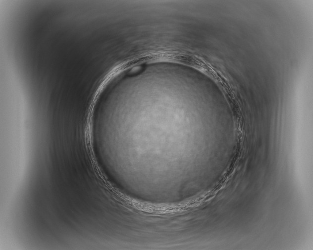 X0000116110006200911301132