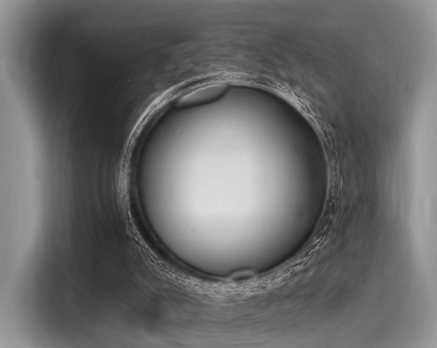 X0000116110007200911301132