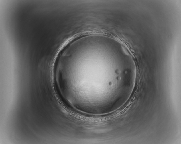 X0000116110008200911301132