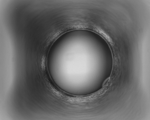 X0000116110009200911301132