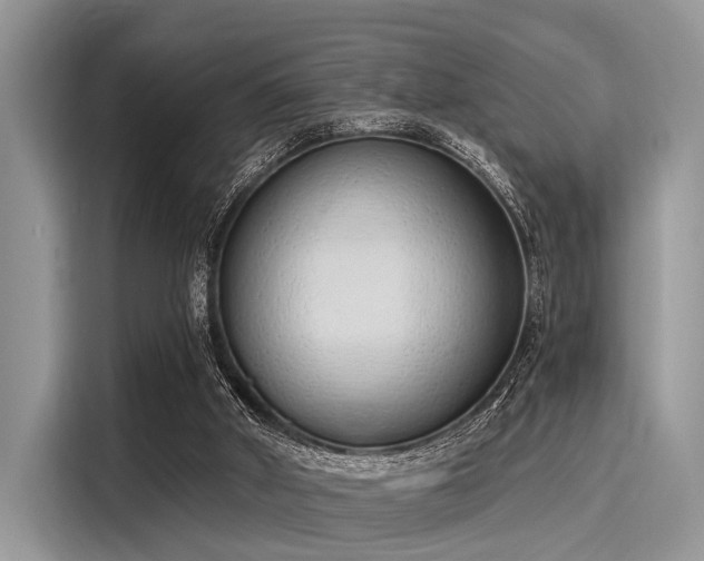 X0000116110010200911301132