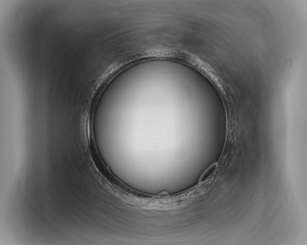 X0000116110011200911301132