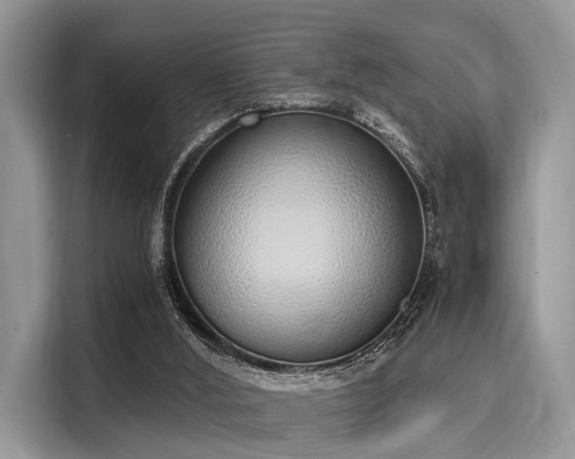 X0000116110012200911301132