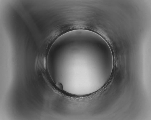 X0000116110013200911301132