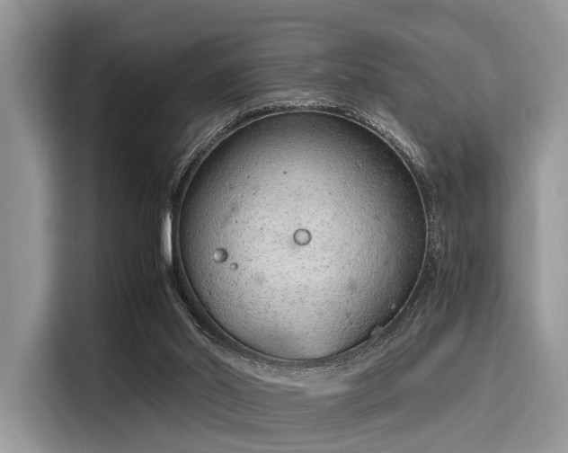 X0000116110014200911301132