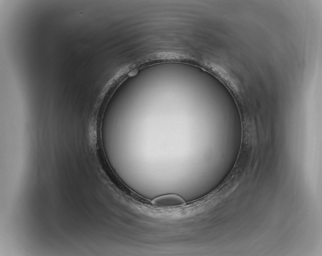 X0000116110015200911301132