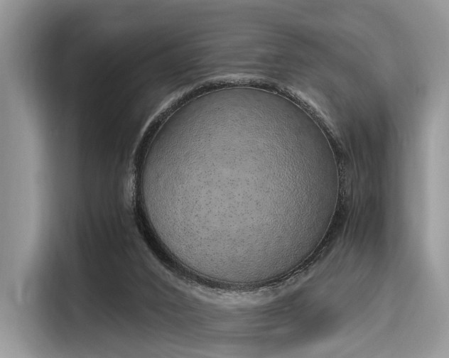 X0000116110016200911301132