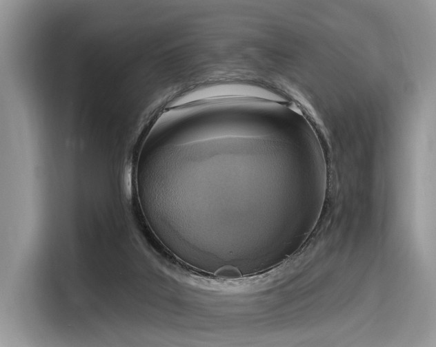 X0000116110019200911301132