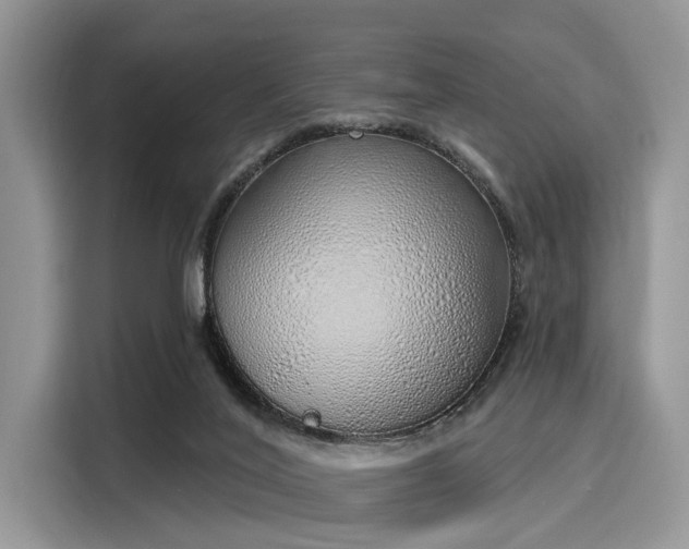 X0000116110020200911301132