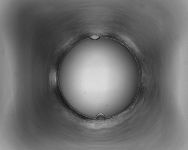 X0000116110021200911301132