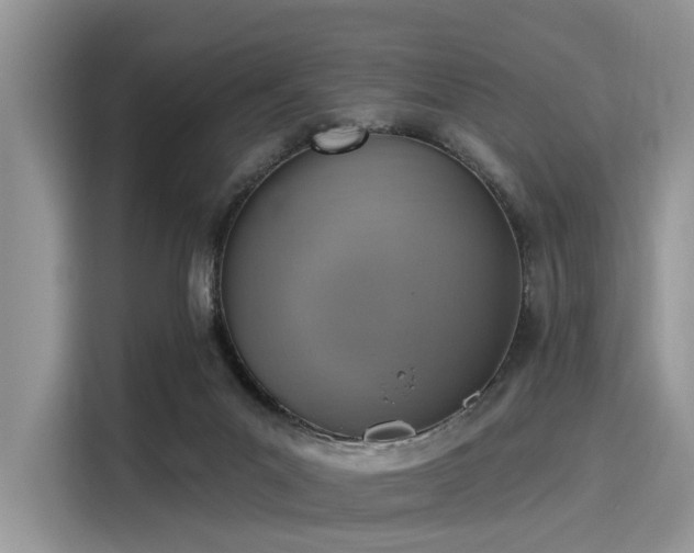 X0000116110023200911301132