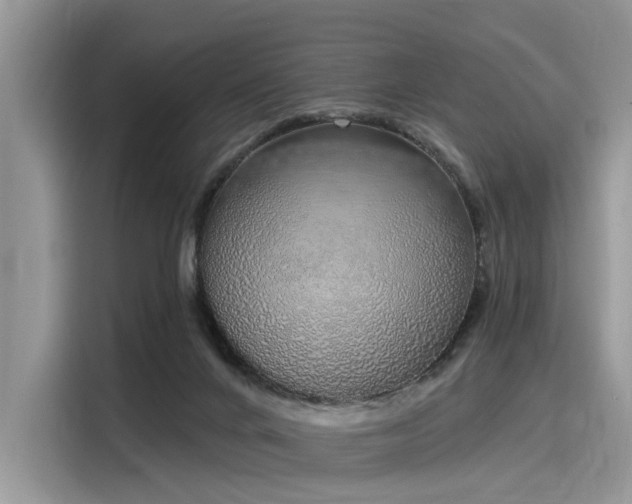 X0000116110024200911301132